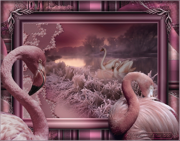 d7709d8d.gif